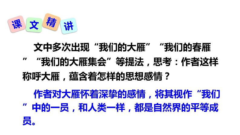 大雁归来PPT课件4第5页