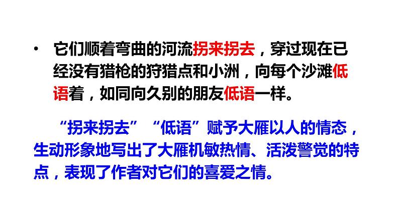 大雁归来PPT课件4第7页
