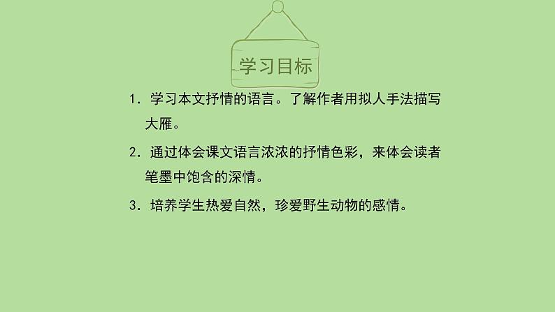 大雁归来PPT课件1第4页
