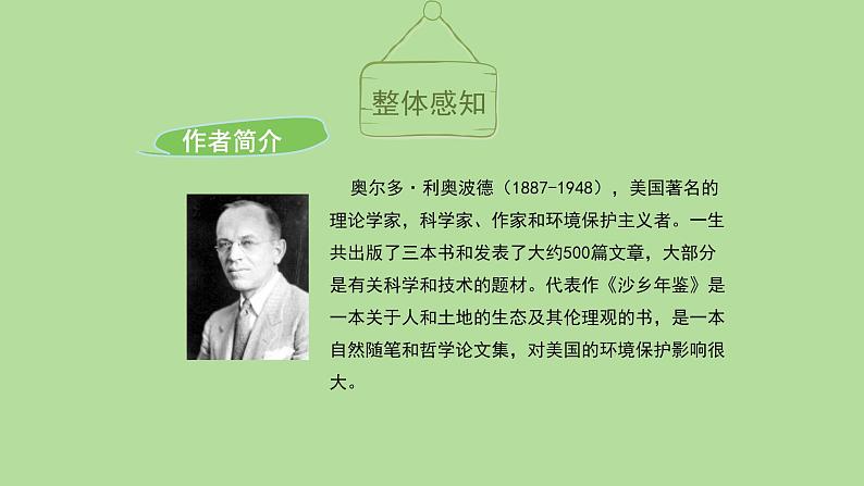 大雁归来PPT课件1第5页