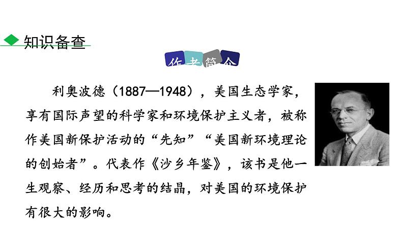 大雁归来PPT课件504