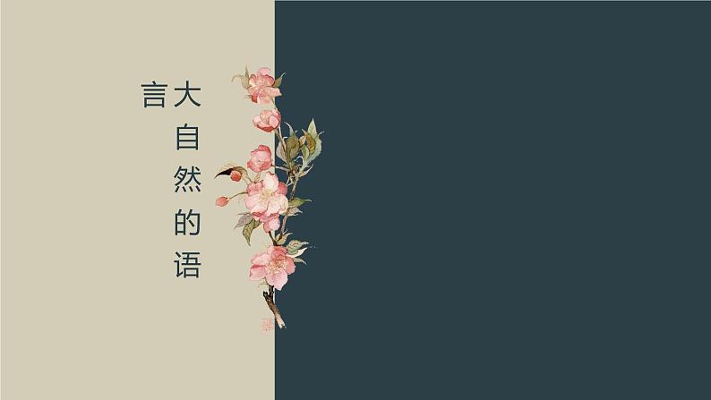 第5课《大自然的语言》课件+2023—2024学年统编版语文八年级下册01