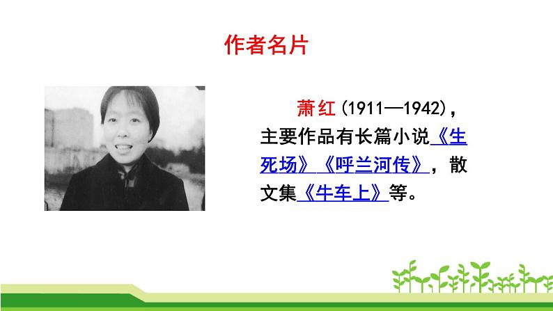 回忆鲁迅先生PPT课件5第4页
