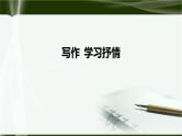 学习抒情PPT课件1