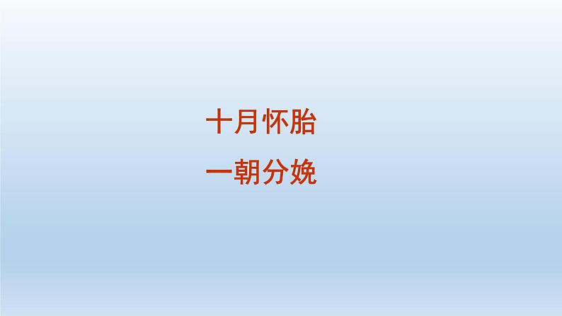 统编版语文七年级下册 孝亲敬老，从我做起课件第8页