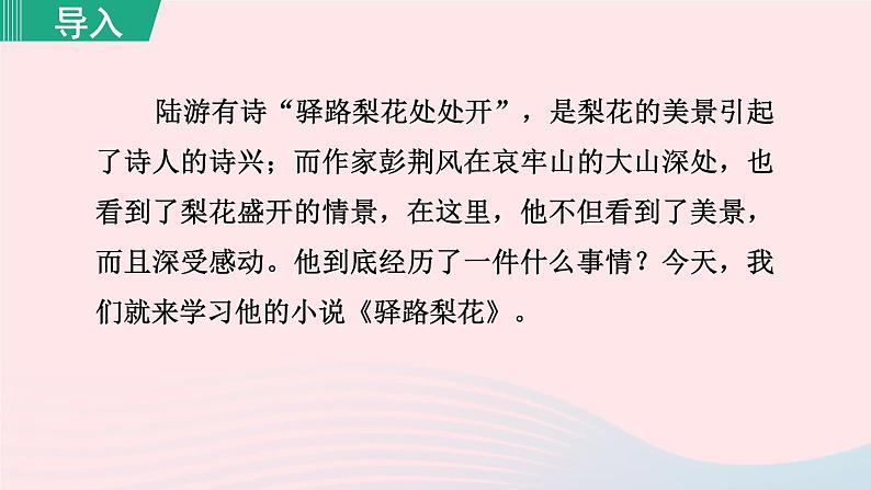 2024春七年级语文下册第4单元15驿路梨花第1课时教学课件（部编版）第4页