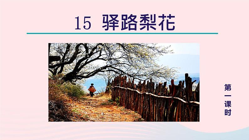 2024春七年级语文下册第4单元15驿路梨花第1课时教学课件（部编版）第5页