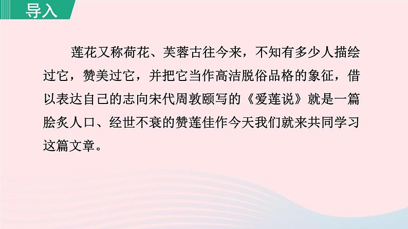 2024春七年级语文下册第4单元17短文两篇爱莲说教学课件（部编版）第3页