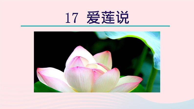2024春七年级语文下册第4单元17短文两篇爱莲说教学课件（部编版）第4页