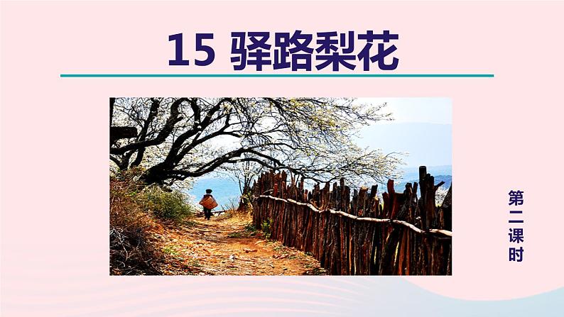 2024春七年级语文下册第4单元15驿路梨花第2课时教学课件（部编版）第1页
