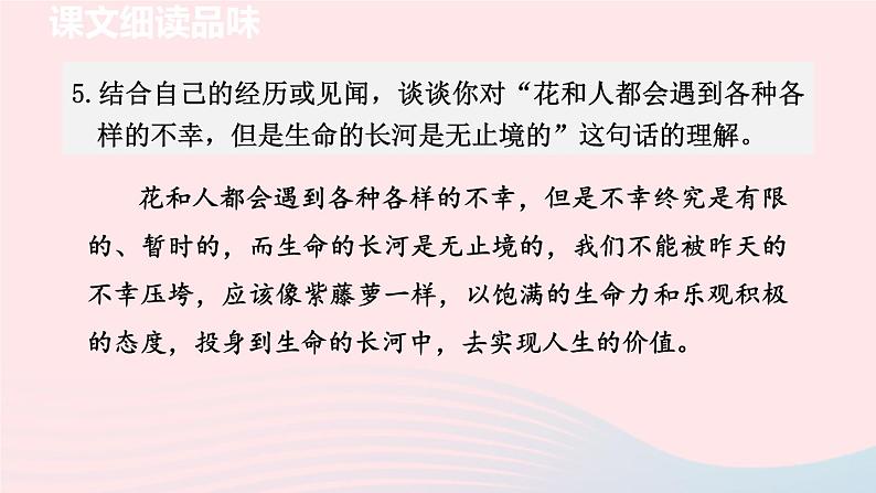 2024春七年级语文下册第5单元18紫藤萝瀑布第2课时教学课件（部编版）第6页