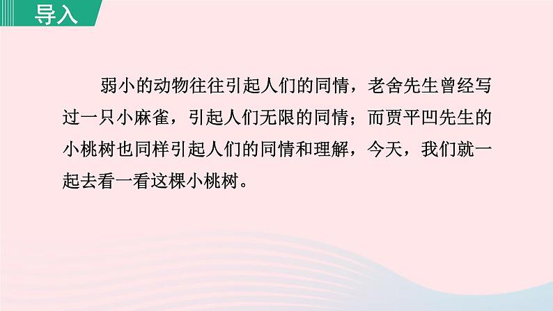 2024春七年级语文下册第5单元19一棵小桃树第1课时教学课件（部编版）01