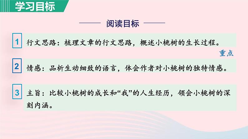 2024春七年级语文下册第5单元19一棵小桃树第1课时教学课件（部编版）03