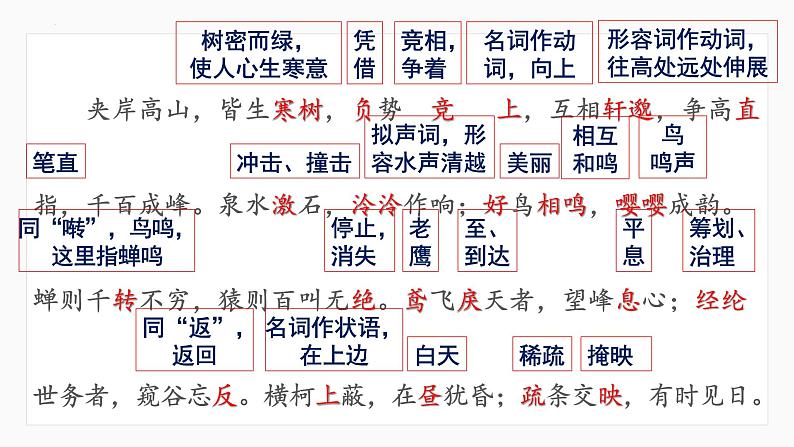 第12课《与朱元思书》课件2023-2024学年统编版语文八年级上册06