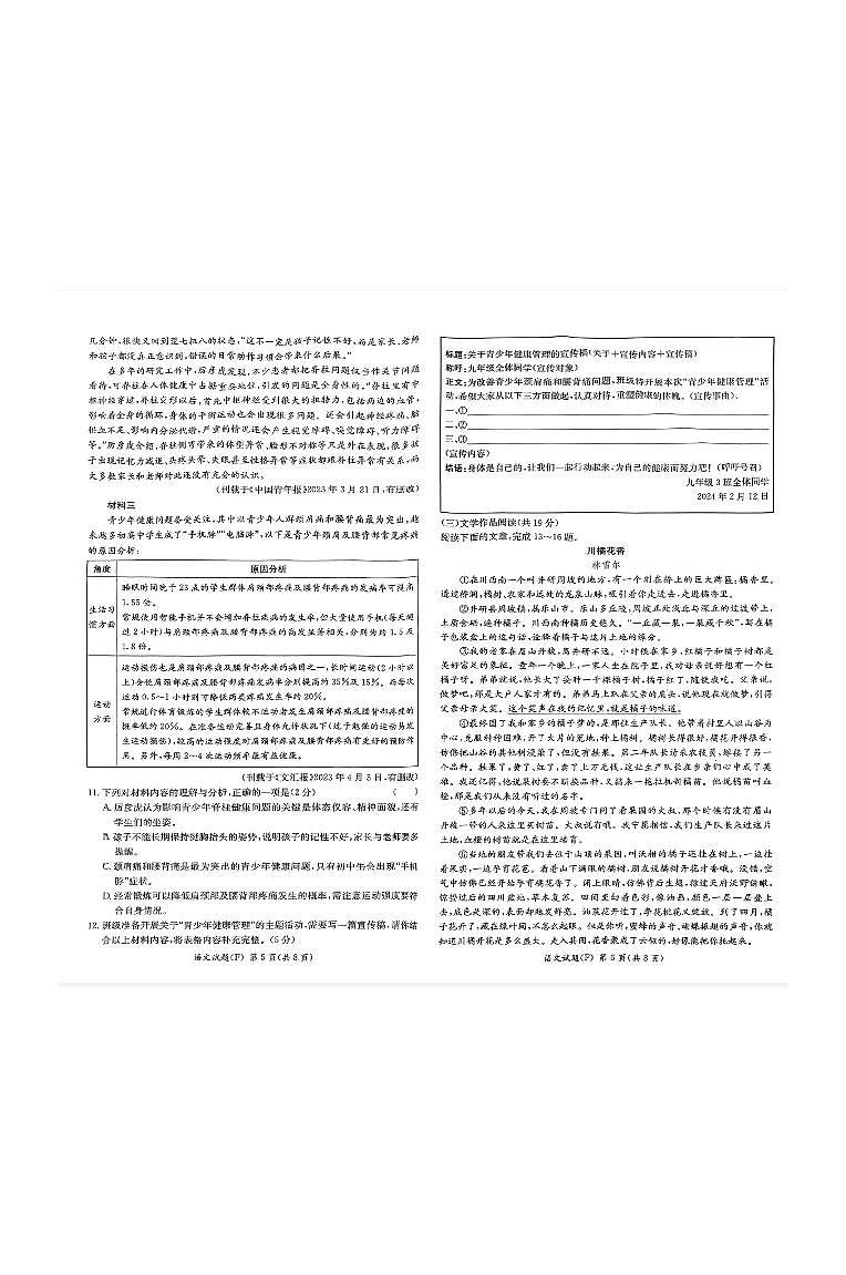 湖南省长沙市湖南师大附中高新实验中学2023-2024学年九年级下学期入学语文试卷03