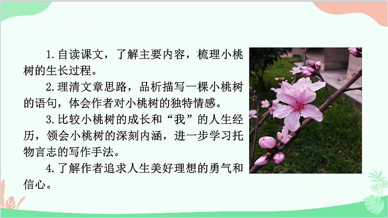部编版语文七年级下册 第五单元 19 一颗小桃树 教学课件04