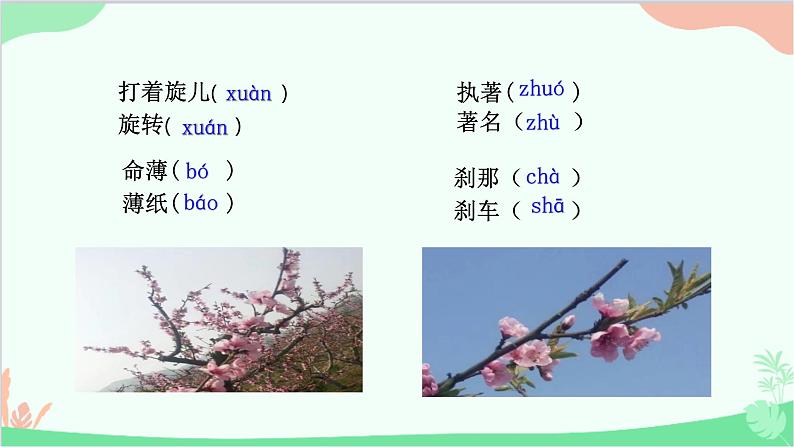 部编版语文七年级下册 第五单元 19 一颗小桃树 教学课件08