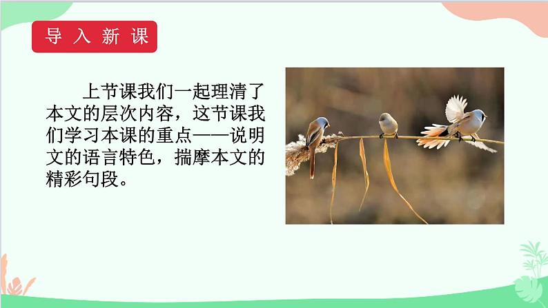 统编版语文八年级下册 5 大自然的语言 第二课时课件第2页