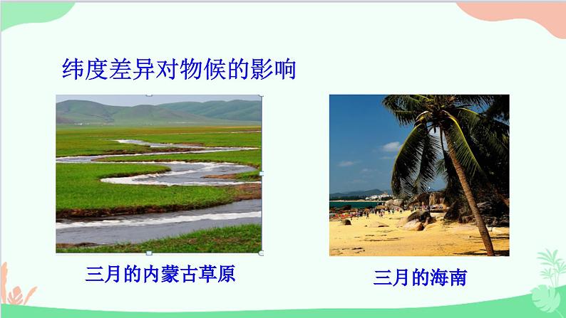 统编版语文八年级下册 5 大自然的语言 第二课时课件第5页