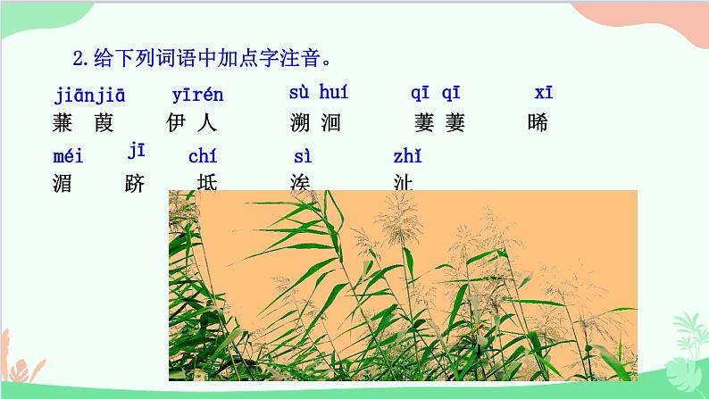 统编版语文八年级下册 12 《诗经》二首 第二课时课件第4页