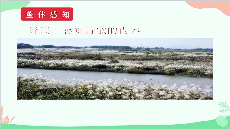 统编版语文八年级下册 12 《诗经》二首 第二课时课件第7页
