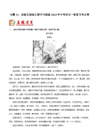 2024年中考语文第一轮考点复习（全国通用） 专题11：记叙文阅读之情节与线索【习题精练】 （原卷版+解析）