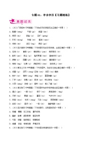 2024年中考语文第一轮考点复习（全国通用） 专题01  字音字形【习题精练】（原卷版+解析）