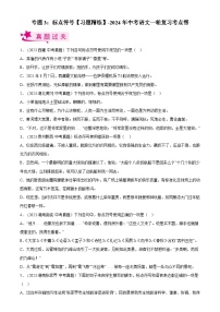 2024年中考语文第一轮考点复习（全国通用） 专题03  标点符号【习题精练】（原卷版+解析）