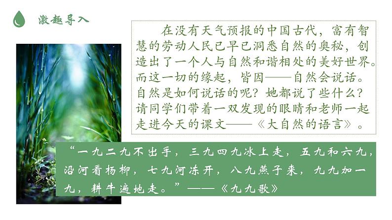 部编版语文八下 5 大自然的语言第2页