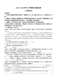 河南省平顶山市汝州市2023-2024学年八年级上学期期末语文试题（含答案）