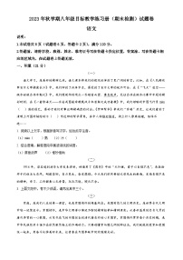 广西壮族自治区梧州市苍梧县2023-2024学年八年级上学期期末语文试题（原卷版+解析版）