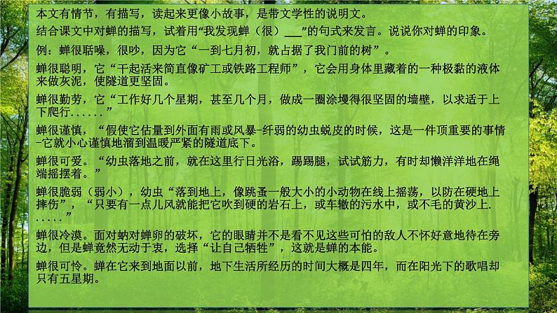 部编版语文八年级上20课《蝉》PPT课件05