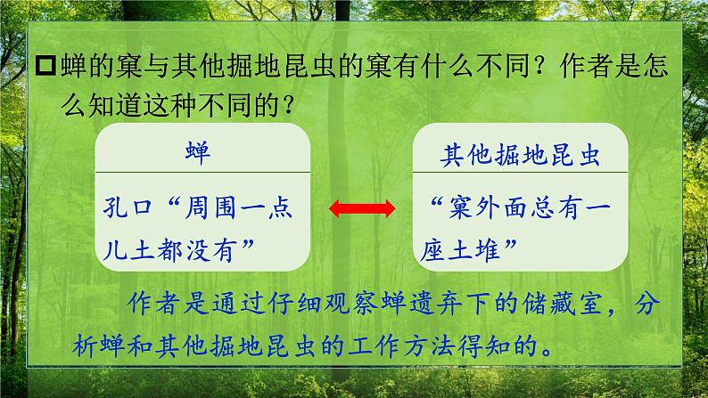 部编版语文八年级上20课《蝉》PPT课件08
