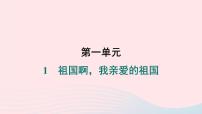 人教部编版九年级下册我亲爱的祖国作业ppt课件
