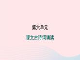 安徽專版2024春九年級語文下冊第六單元課文古詩詞誦讀作業(yè)課件新人教部編版