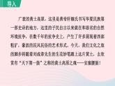 2024春八年级语文下册第1单元3安塞腰鼓第1课时教学课件（部编版）