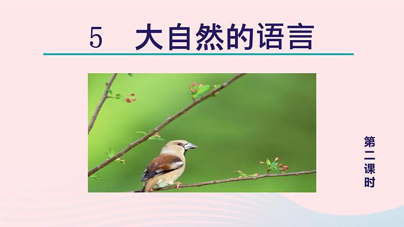 2024春八年级语文下册第2单元5大自然的语言第2课时教学课件（部编版）第1页