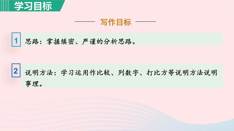 6.恐龙无处不有课件第6页