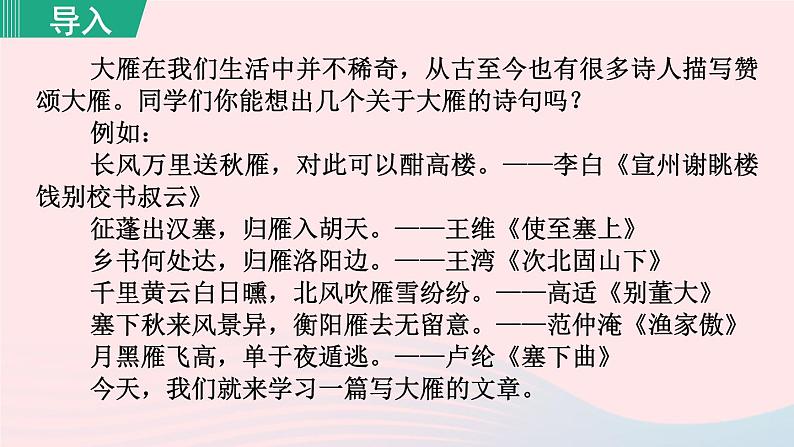 2024春八年级语文下册第2单元7大雁归来第1课时教学课件（部编版）03