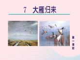 2024春八年级语文下册第2单元7大雁归来第1课时教学课件（部编版）