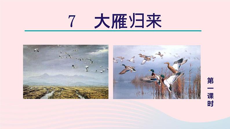 2024春八年级语文下册第2单元7大雁归来第1课时教学课件（部编版）04