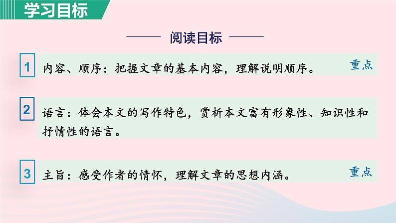 2024春八年级语文下册第2单元7大雁归来第1课时教学课件（部编版）05