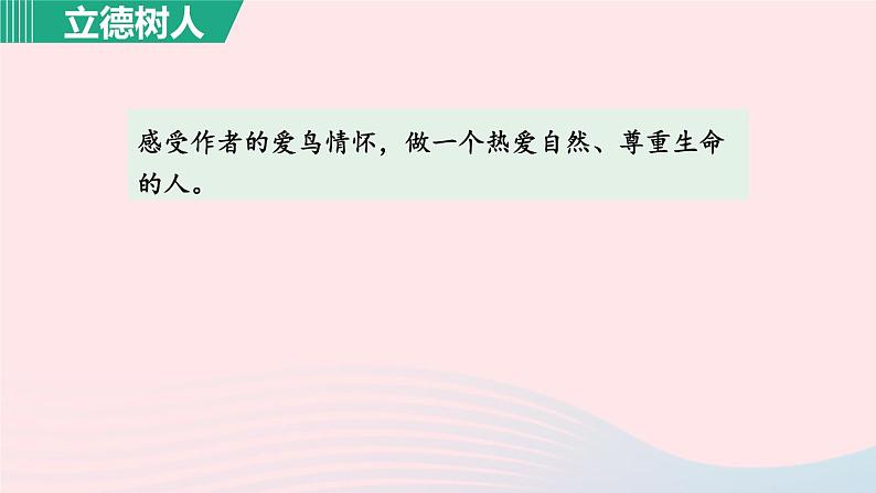 2024春八年级语文下册第2单元7大雁归来第1课时教学课件（部编版）07