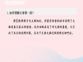 2024春八年级语文下册第2单元7大雁归来第2课时教学课件（部编版）