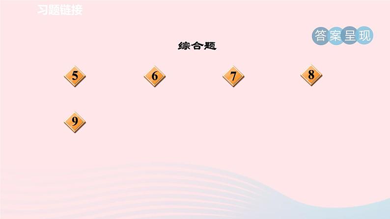 2024春八年级语文下册第2单元7大雁归来课件（部编版）第3页