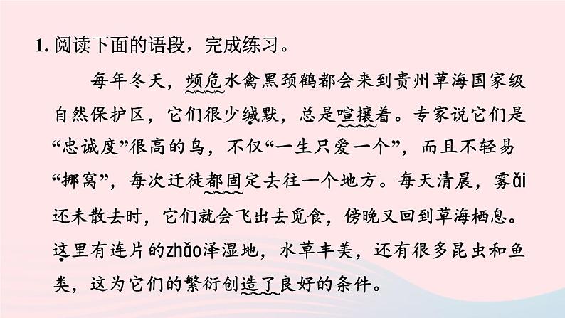 2024春八年级语文下册第2单元7大雁归来课件（部编版）第4页