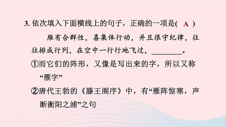 2024春八年级语文下册第2单元7大雁归来课件（部编版）第8页