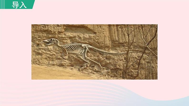 2024春八年级语文下册第2单元8时间的脚印第1课时教学课件（部编版）01