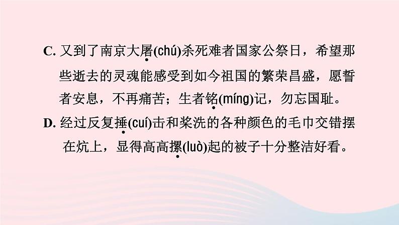 2024春八年级语文下册第4单元13最后一次讲演课件（部编版）05