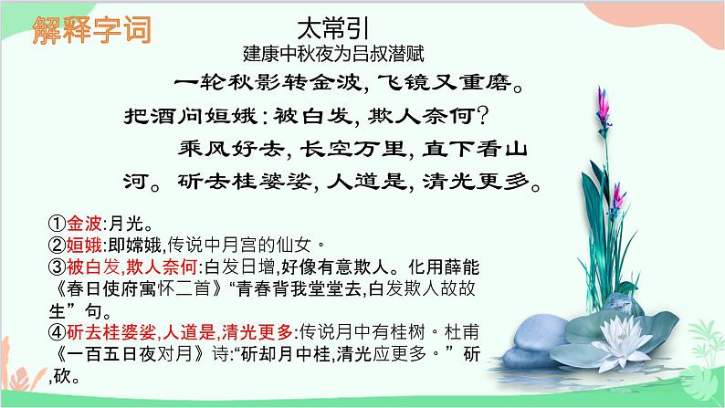 统编版语文九年级下册 第三单元 课外古诗词诵读《太常引》 课件07